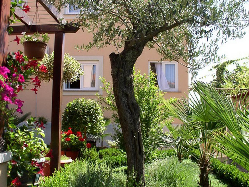 Apartments Villa Amfora Rovinj Buitenkant foto